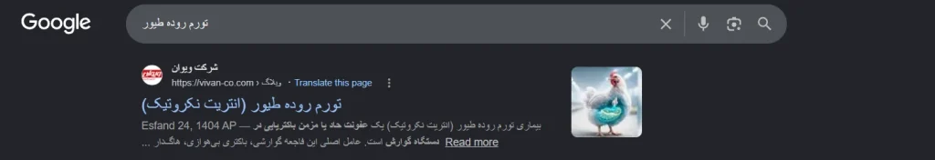 اثبات کسب رتبه ۱ گوگل در کلمات کلیدی اصلی پروژه سئو - تصویر شماره 7