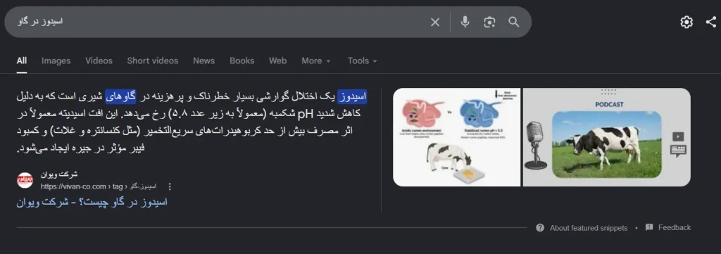 اثبات کسب رتبه ۱ گوگل در کلمات کلیدی اصلی پروژه سئو - تصویر شماره 10