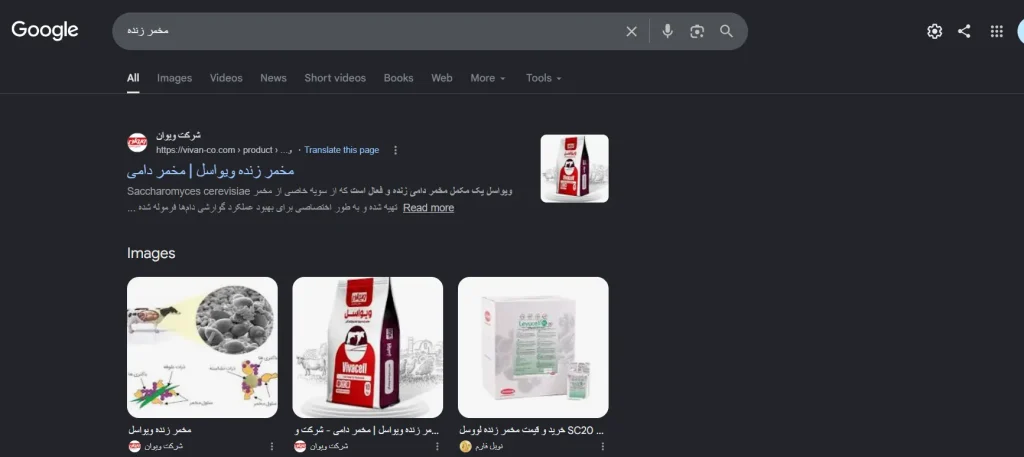 اثبات کسب رتبه ۱ گوگل در کلمات کلیدی اصلی پروژه سئو - تصویر شماره12