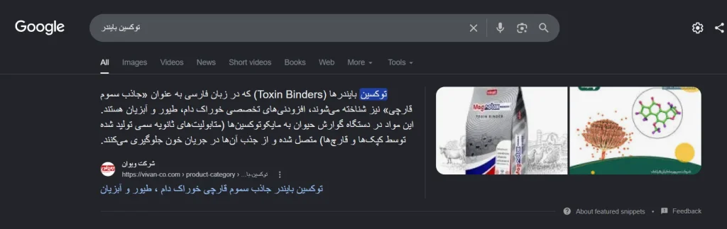 اثبات کسب رتبه ۱ گوگل در کلمات کلیدی اصلی پروژه سئو - تصویر شماره 13