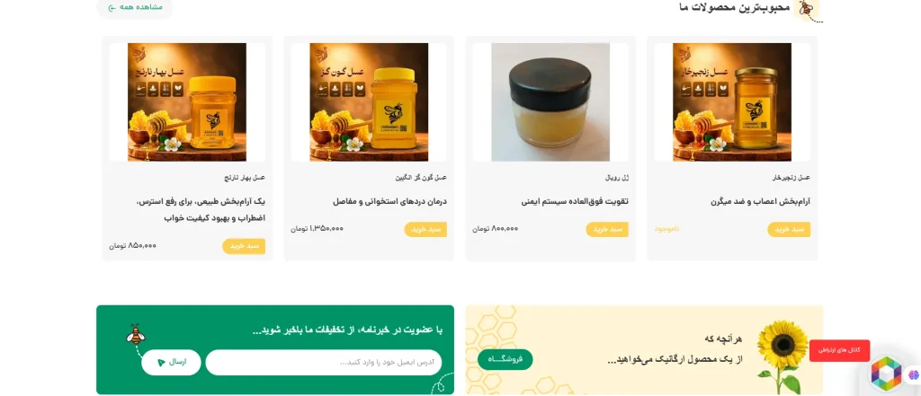 اسکرین‌شات بخش‌های مختلف طراحی سایت عسل آپیس طلایی - تصویر شماره 5